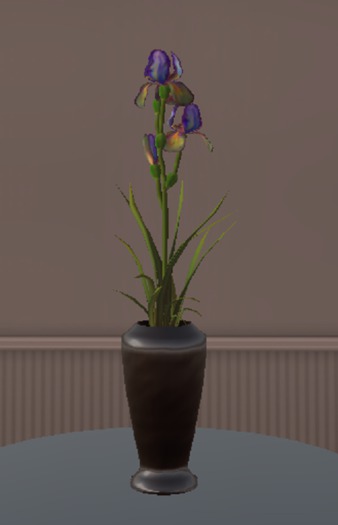 Photosynthetic Bearded Iris Arrangement 