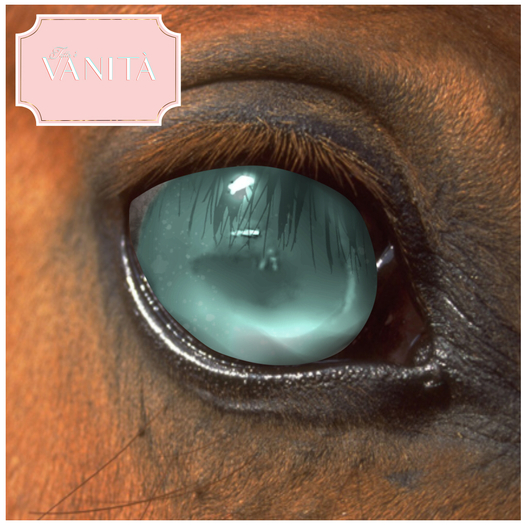 Tutto E Vanita Depths Eyes - mountain