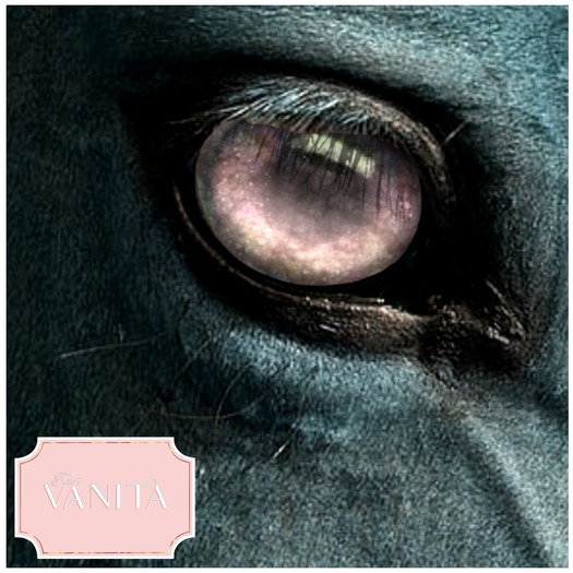 TEEGLE EYES: Alghoul