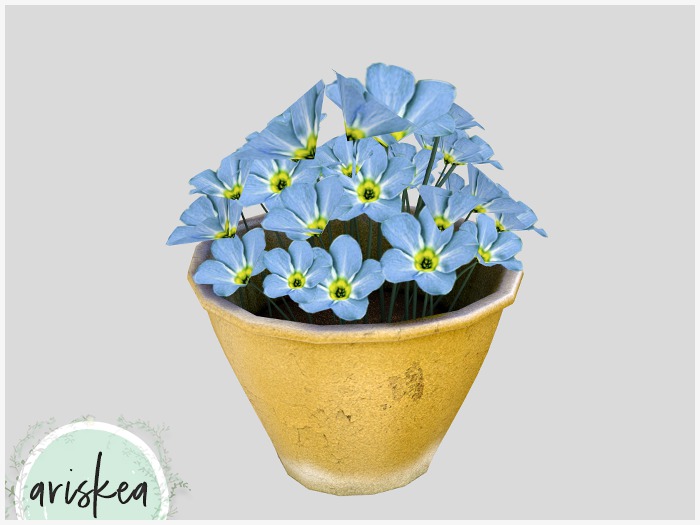 Ariskea [Charm] Aster Yellow Pots [Blue]