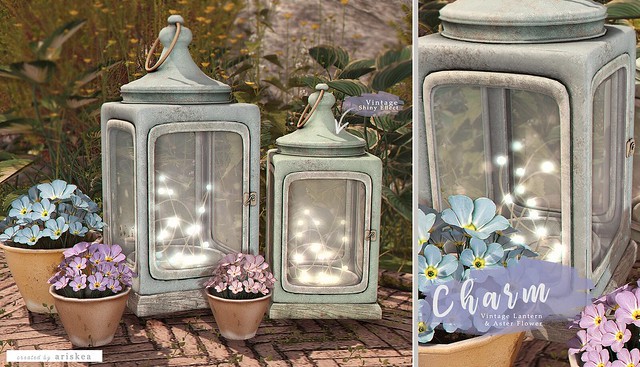 Ariskea[Charm] VIntage Set