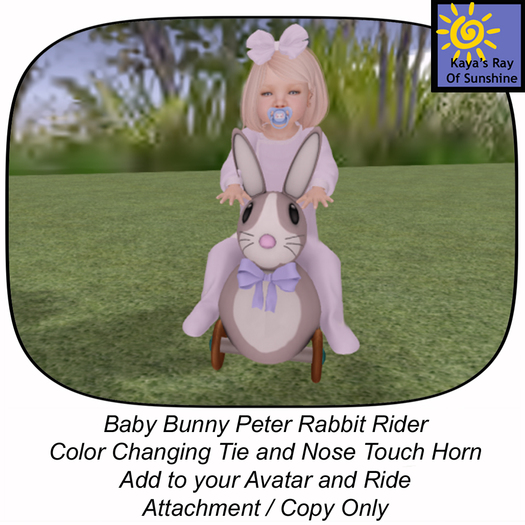 Baby Bunny Peter Rabbit Rider BOX