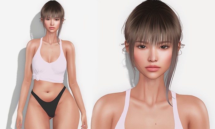 Shape Sue (Genus Classic Head)