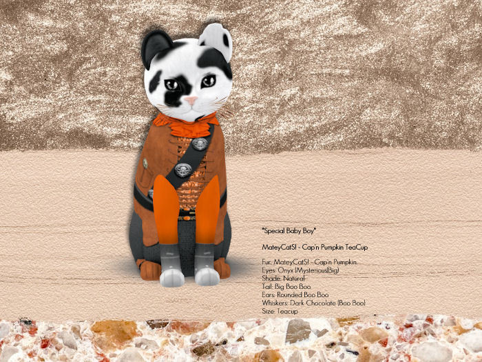 KittyCatS Box - MateyCatS! - Cap'n Pumpkin Boy TeaCup