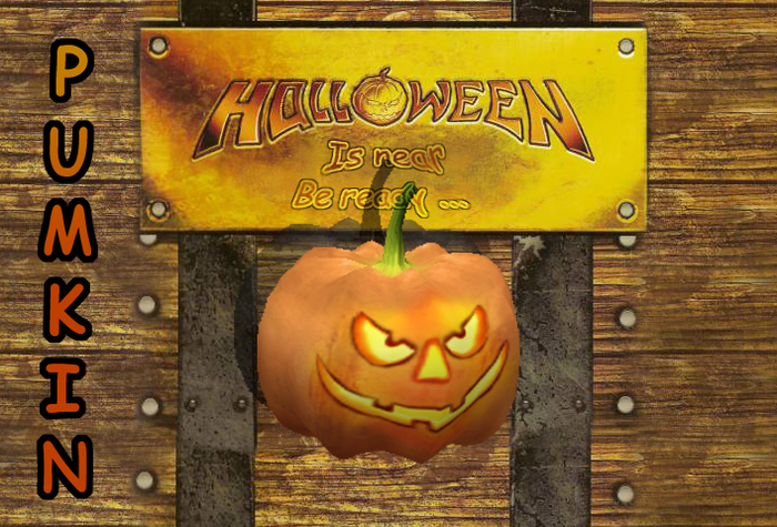 Halloween Pumkin