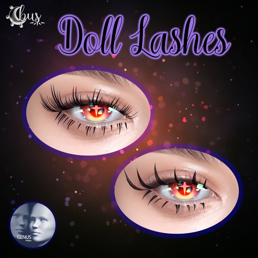 -bus- .Doll Lashes. {GENUS}