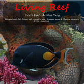 Inochi Reef : Mesh Fish - Achilles Tang