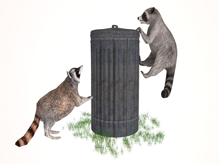 Country Corner ~ Raccoon Feast