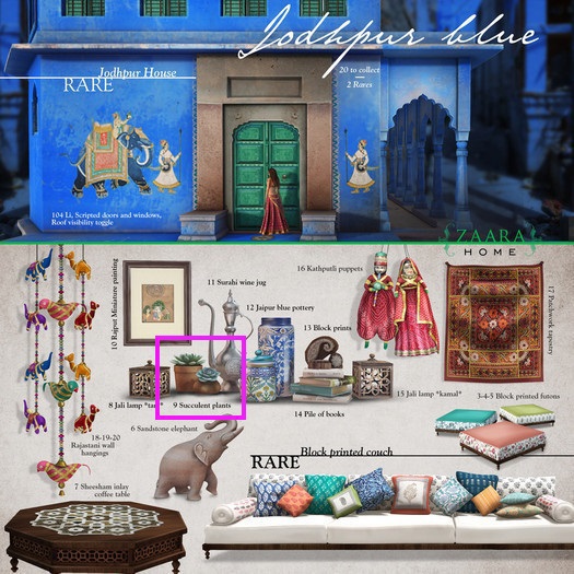 Zaara [home] : 9 Succulent plants