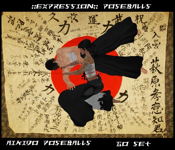 ::eXpression:: PoseBalls - Aikido: Go Set
