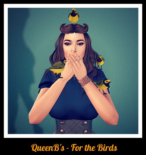 QueenB's - For the Birds