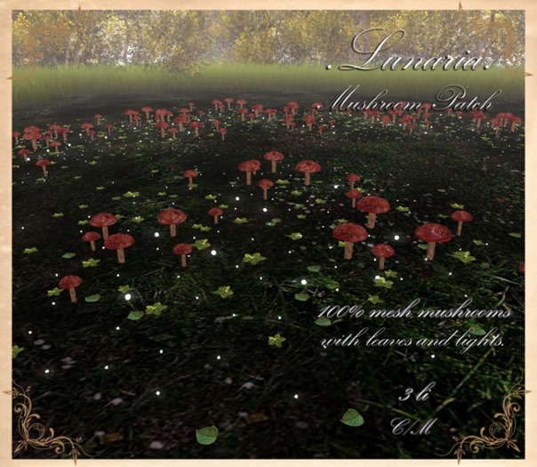 .Lunaria. Mushroom Patch 