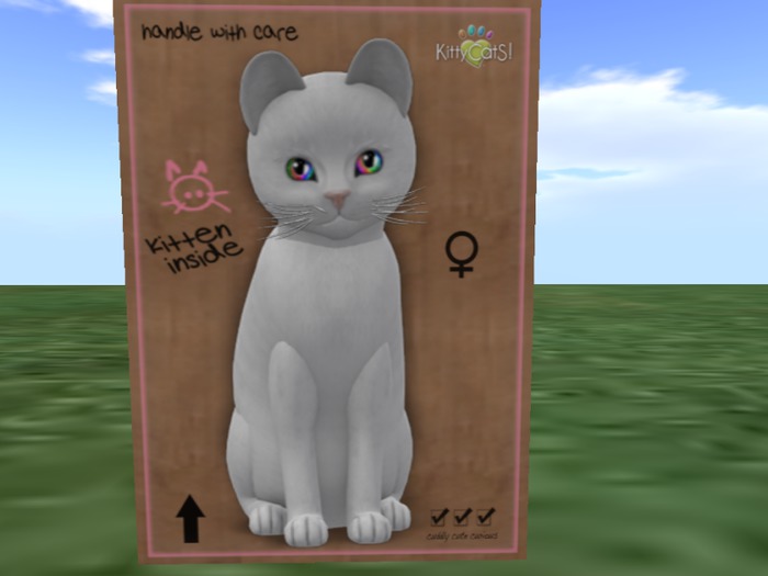 KittyCatS Box - RussWhite, Ody Rainbow, Shorty Tail, Rounded Ea