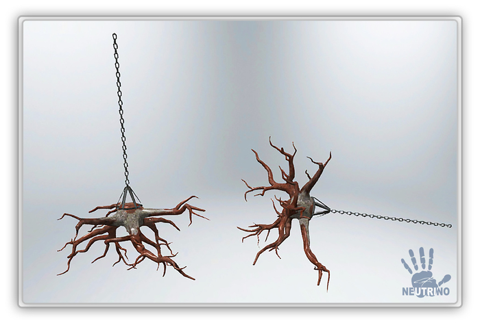 Hanging roots