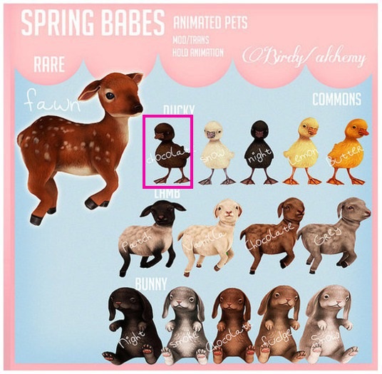 Birdy/Alchemy - Spring Babes - Ducky - Chocolate [BOX]