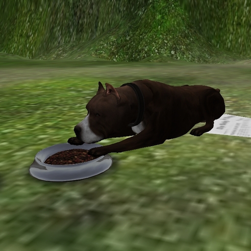 ULTIMATE BROWN&WHITE