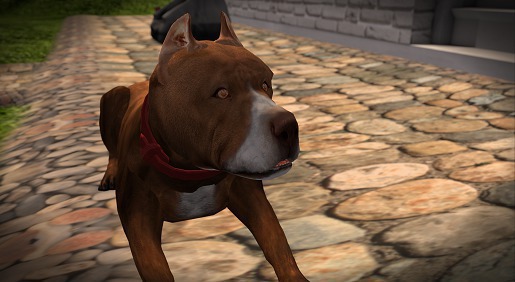 ULTIMATE RED&WHITE PITBULL