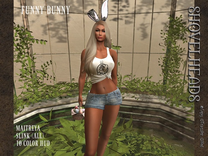 :*:ShOvElHeAdS:*: Funny Bunny