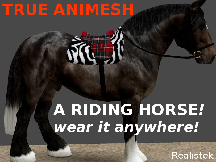 Animesh Riding Horse (bronze)