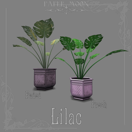 *pm* Metal Moroccan Monstera Planter: Lilac