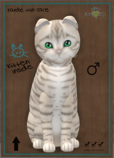 KittyCatS Box - Toyger - Snow