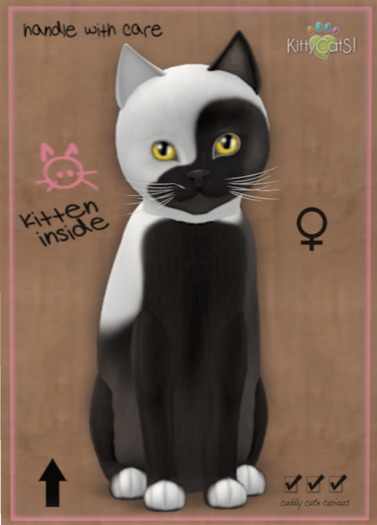 KittyCatS Box - Chateau Cat - Cocoa & White No. 1