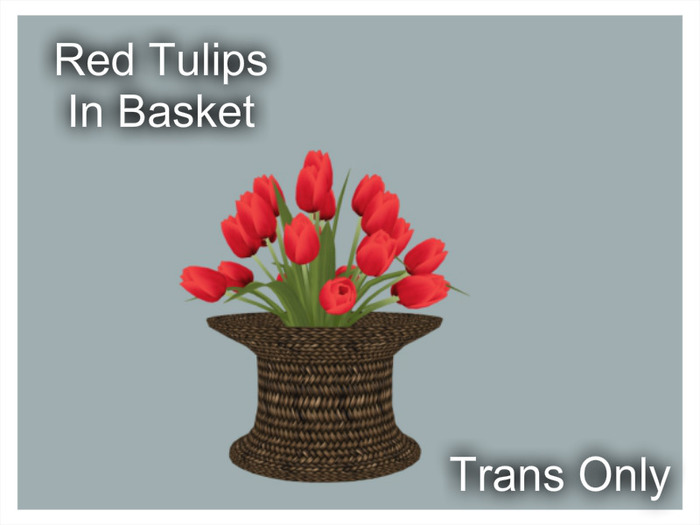 *CC* Red Tulips In Basket