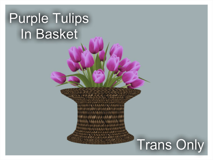 *CC* Purple Tulips In Basket 