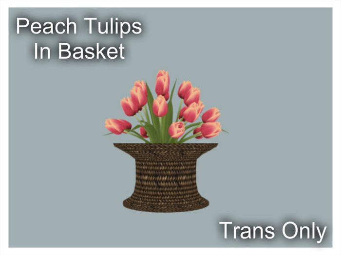 *CC* Peach Tulips In Basket
