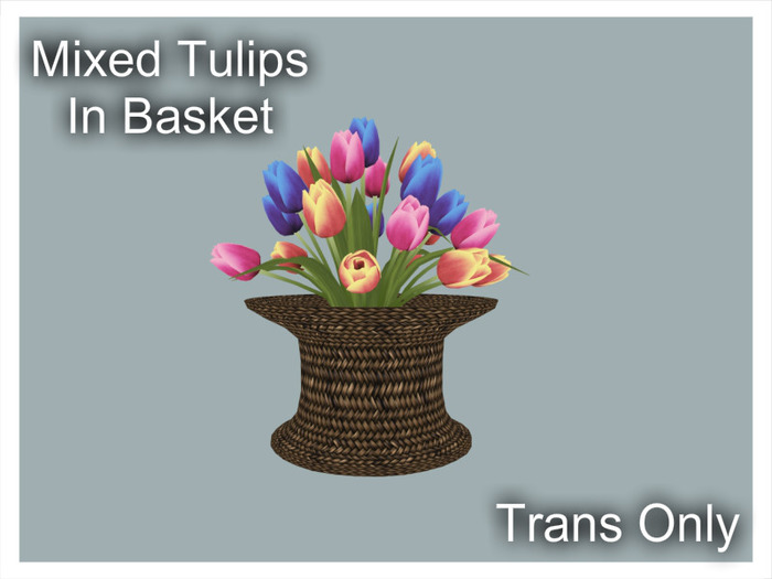 *CC* Mixed Tulips In Basket