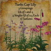 Bad Katz Turks Cap Lily