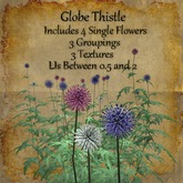 Bad Katz Globe Thistles