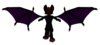 Mvbat 04