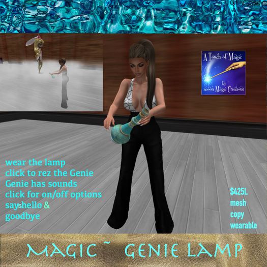 Genie In a Bottle-Bag