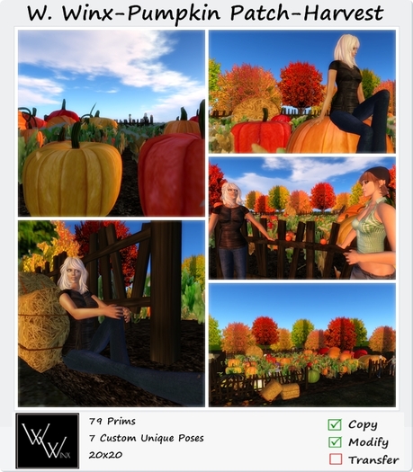 W. Winx-Pumpkin Patch- Harvest Size