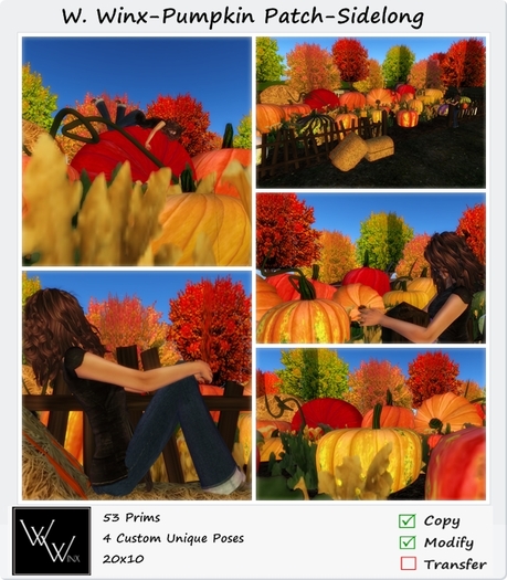 W. Winx-Pumpkin Patch - Sidelong Size