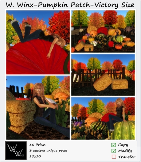 W. Winx-Pumpkin Patch - Victory Size