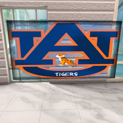auburn flag
