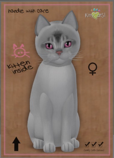 KittyCatS Box - Abyssinian - Black Silver