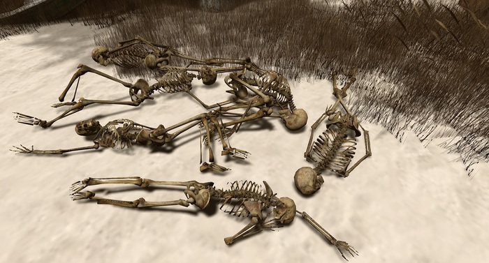 Human Skeleton Fat Pack