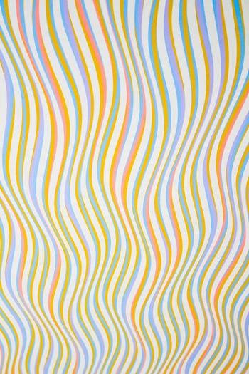 Rug 268
