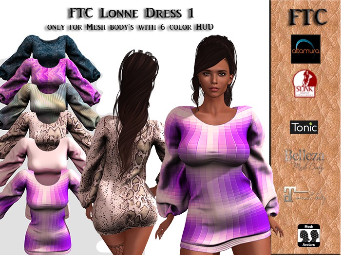 FTC Lonne Dress 1