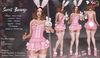 Sweet bunny mp