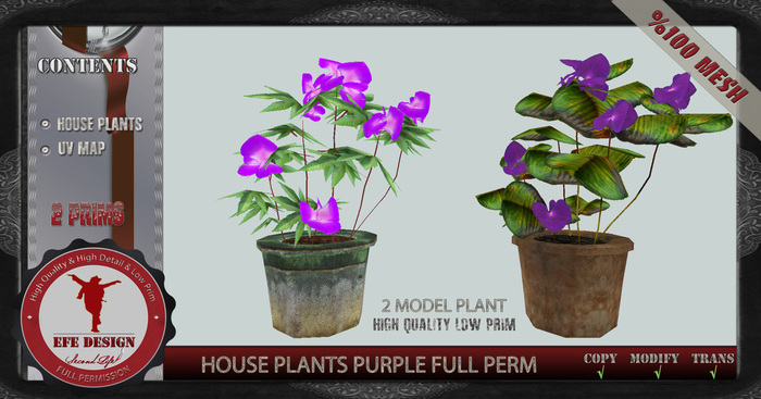 House Plants Purple Full Perm ADD