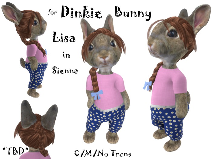 *TBD*Dinkies Bunny Lisa - Sienna