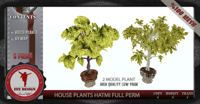 House Plants Hatmi Full Perm Efe Design
