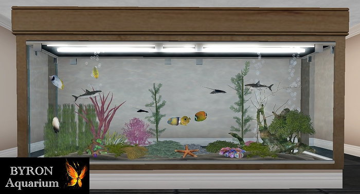 -SS- Byron Shark Aquarium