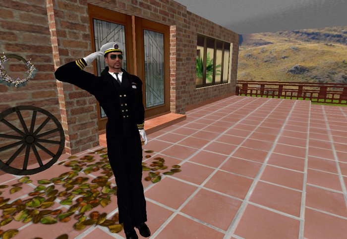 salute