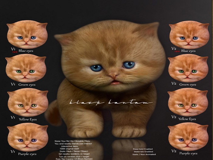 *[Black Bantam] Fluffy Kitty V1 Purple Eyes