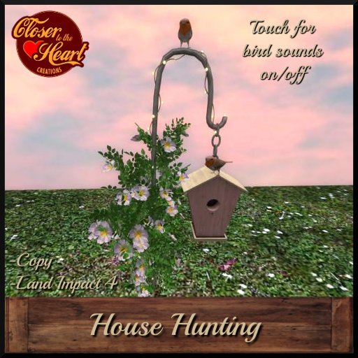 House Hunting Bird House w/Bird Sounds **
